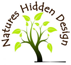 Natures Hidden Design