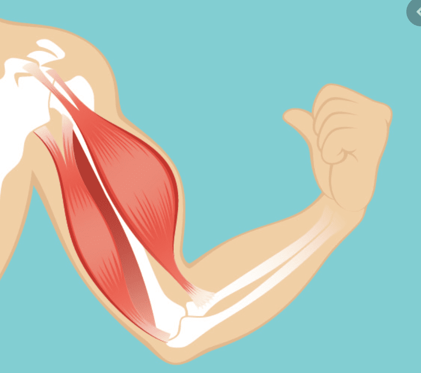 Kinesiology science