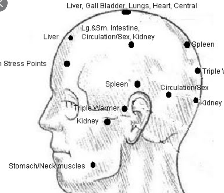 Neurovascular points