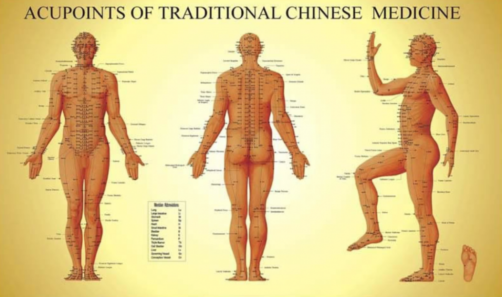 The acupuncture meridian channels